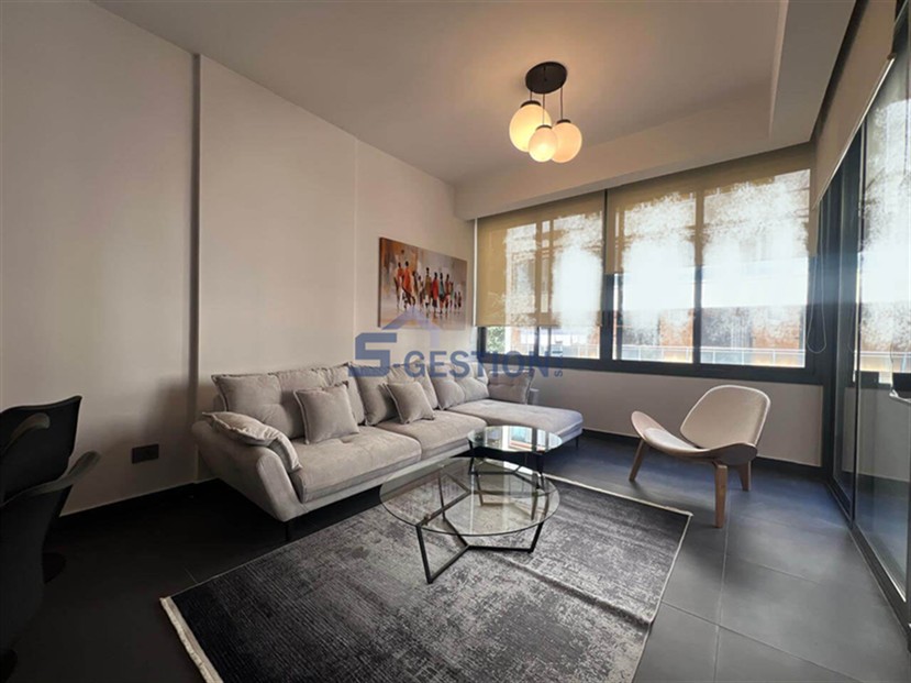 Apartment For Rent Furnished