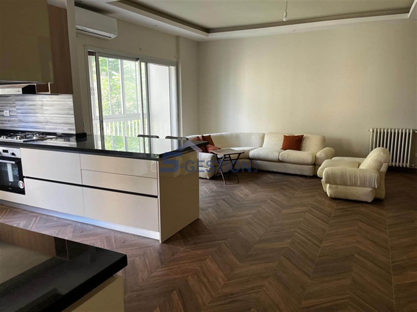 Apartment For Rent Furnished