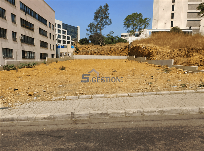 Land For Rent