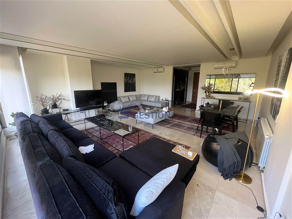 Apartment For Rent Furnished
