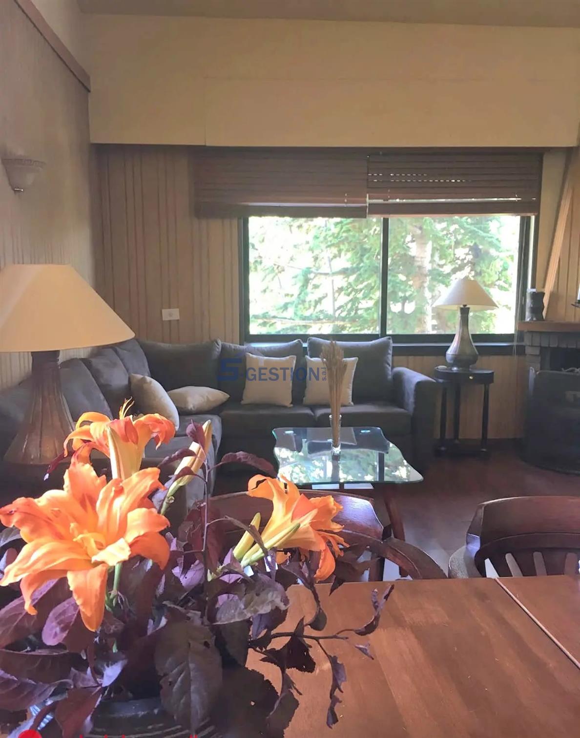 Chalet For Sale