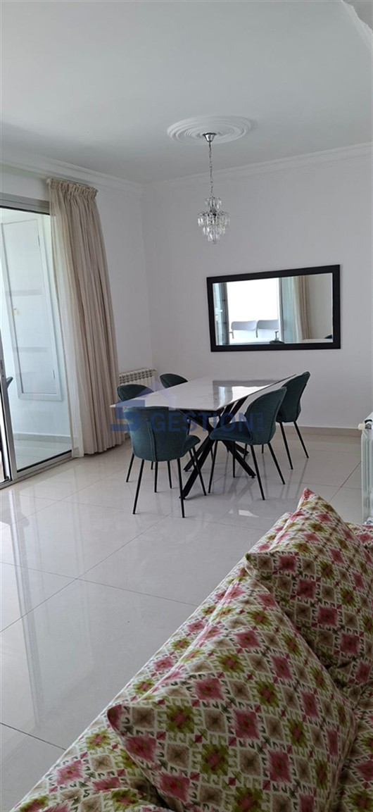 Apartment For Rent Furnished
