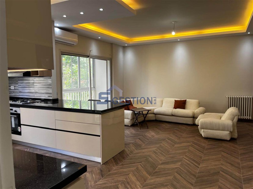 Apartment For Rent Furnished