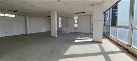 Office For Rent