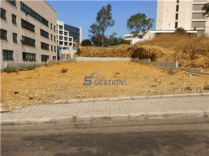Land For Rent