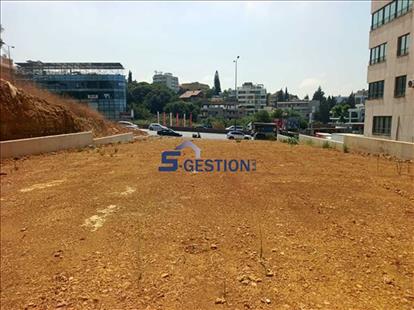 Land For Rent