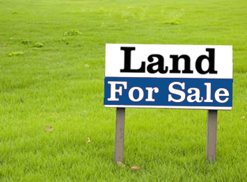 Land For Rent