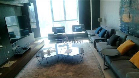 Apartment For Rent Furnished