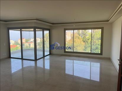 Apartment For V Rented external