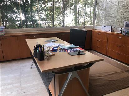 Apartment For Rent Furnished